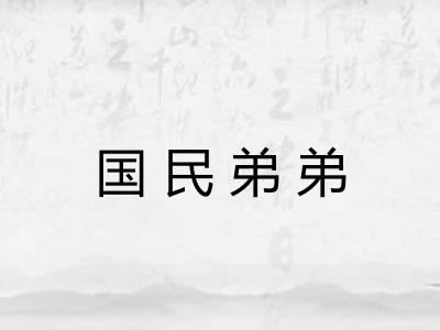 国民弟弟 国民弟弟