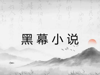 黑幕小说