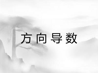 方向导数 方向导数