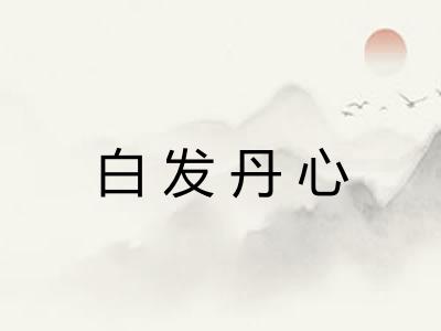 白发丹心 白发丹心