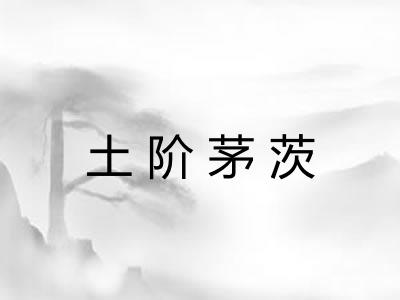 土阶茅茨 土阶茅茨