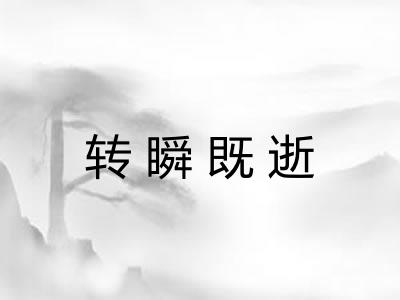 转瞬既逝
