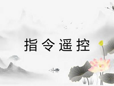 指令遥控