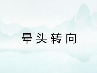 晕头转向 晕头转向