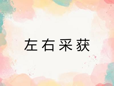 左右采获