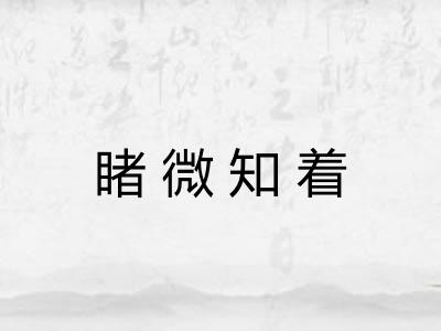睹微知着 睹微知着