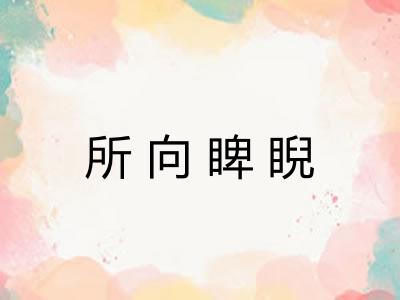 所向睥睨 所向睥睨