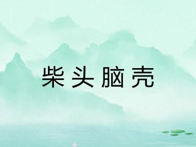 柴头脑壳 柴头脑壳