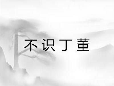 不识丁董 不识丁董