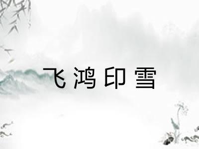飞鸿印雪 飞鸿印雪