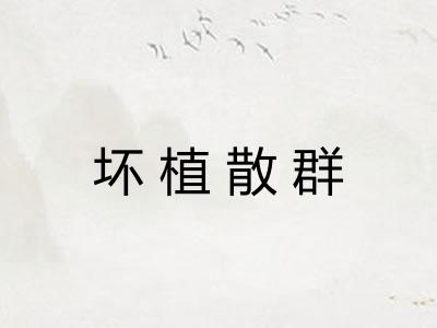 坏植散群 坏植散群