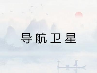 导航卫星