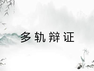 多轨辩证 多轨辩证