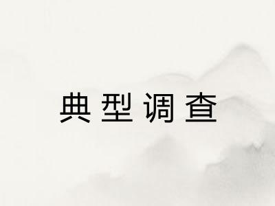 典型调查 典型调查