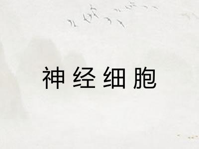神经细胞