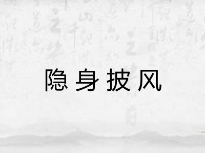隐身披风 隐身披风