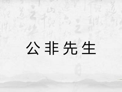 公非先生 公非先生