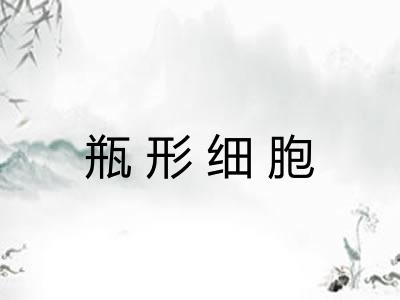瓶形细胞