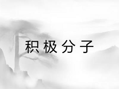 积极分子