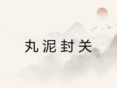 丸泥封关 丸泥封关