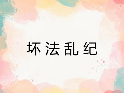 坏法乱纪