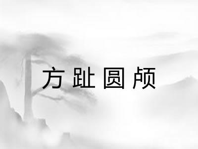 方趾圆颅