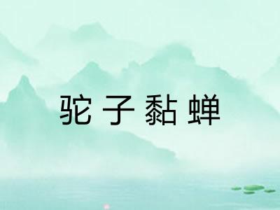 驼子黏蝉 驼子黏蝉