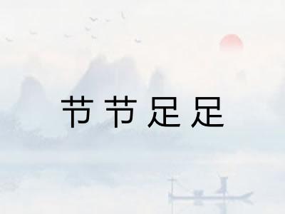 节节足足