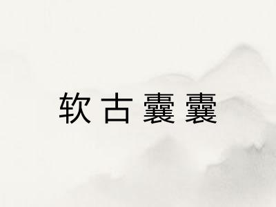 软古囊囊 软古囊囊