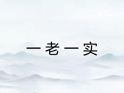 一老一实