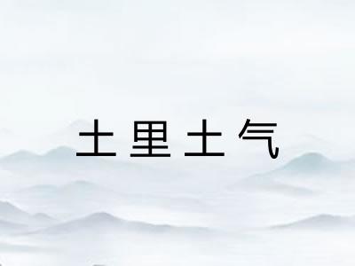 土里土气