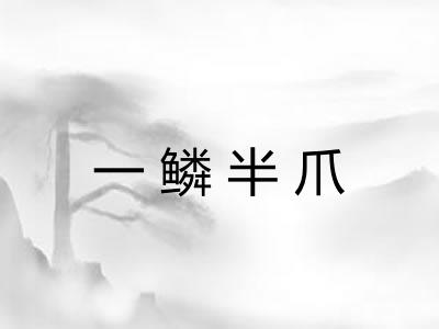 一鳞半爪 一鳞半爪