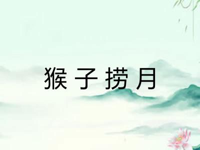 猴子捞月 猴子捞月