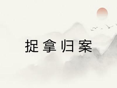 捉拿归案 捉拿归案