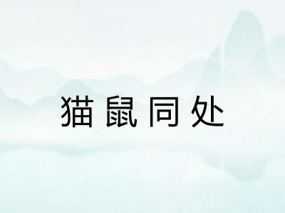 猫鼠同处