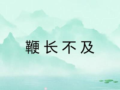 鞭长不及 鞭长不及