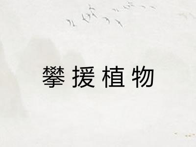 攀援植物 攀援植物