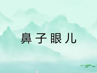 鼻子眼儿 鼻子眼儿