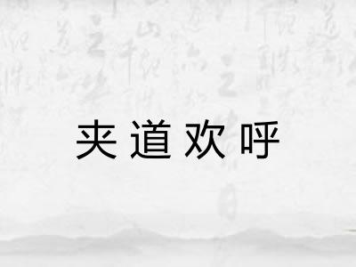 夹道欢呼 夹道欢呼