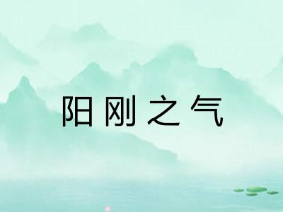 阳刚之气 阳刚之气