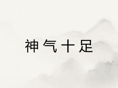 神气十足 神气十足