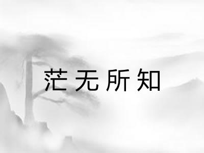 茫无所知 茫无所知