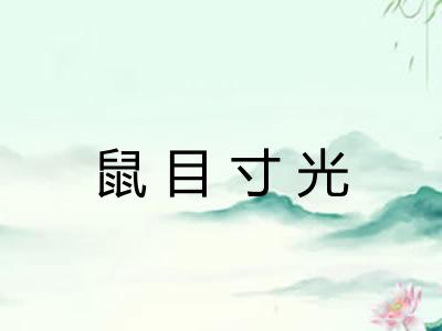 鼠目寸光 鼠目寸光