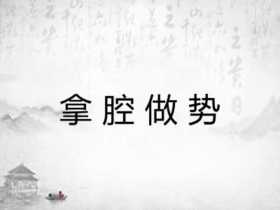 拿腔做势 拿腔做势