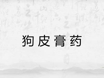 狗皮膏药