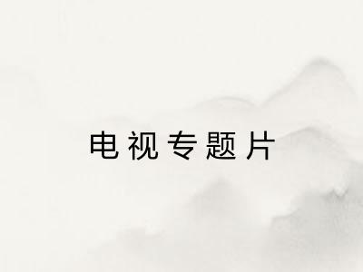 电视专题片 电视专题片