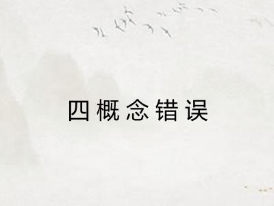 四概念错误 四概念错误