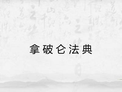 拿破仑法典 拿破仑法典