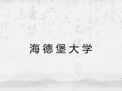 海德堡大学 海德堡大学