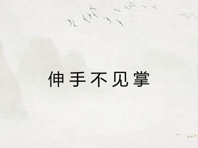 伸手不见掌 伸手不见掌